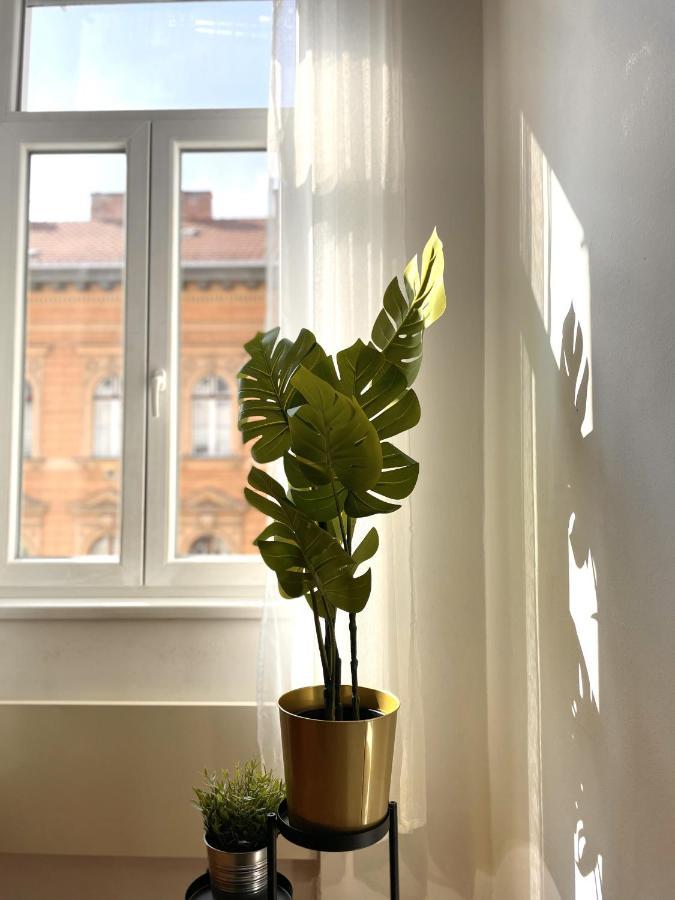 Eotvos 25 Apartment Boedapest Buitenkant foto