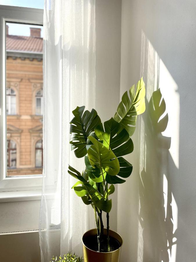 Eotvos 25 Apartment Boedapest Buitenkant foto